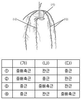 9급 지방직 공무원 식욕작물 8번 문제 이미지