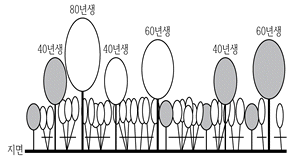 9급 지방직 공무원 조림 9번 문제 이미지
